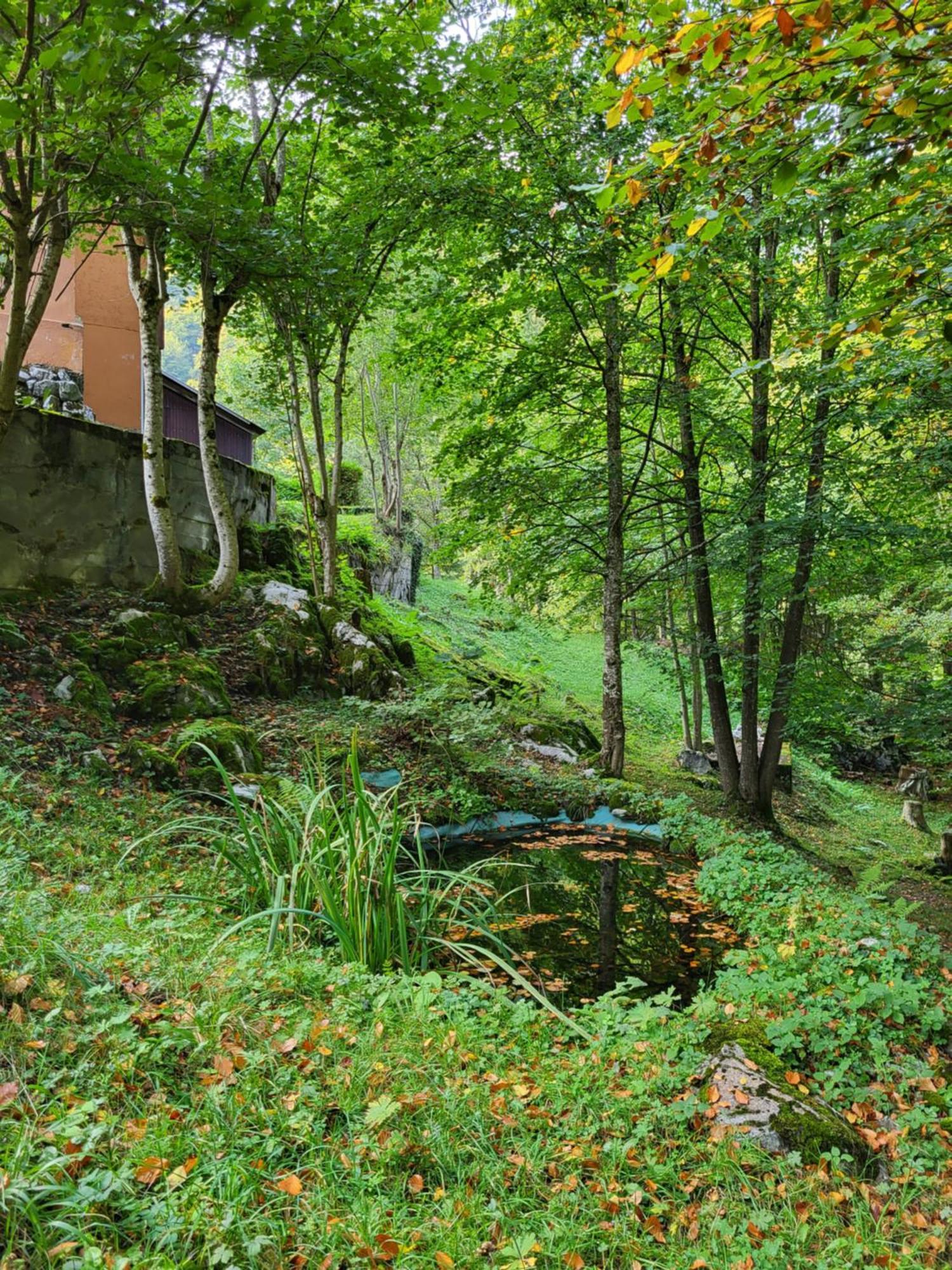 Ferienhaus Baerschwendi Lungern Eksteriør billede